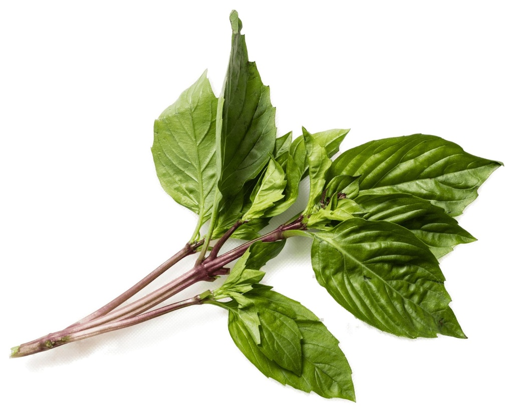 Basil Thai dk